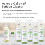 Puracy Streak-Free Surface Cleaner